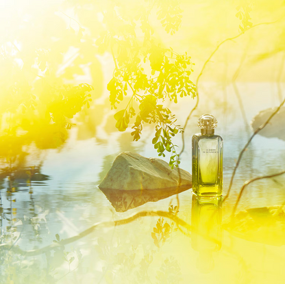 Le Jardin de Monsieur Li