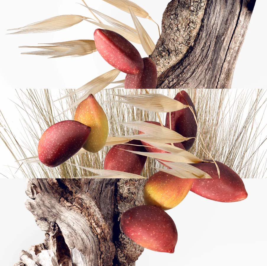 Un Jardin à Cythère